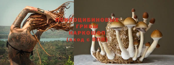 бутират Каменногорск