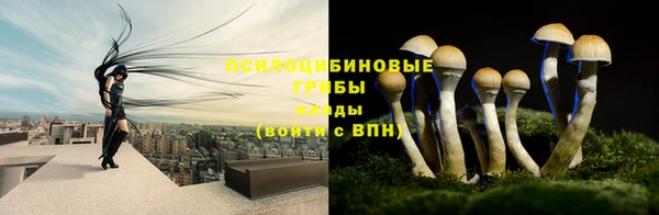 герыч Богданович