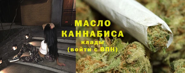 дживик Инта